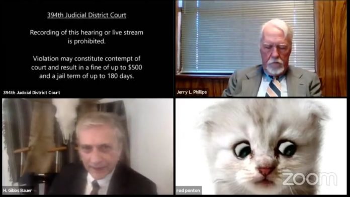 lawyer look like a cat in virtual court hearing