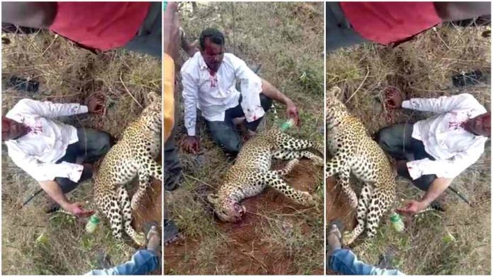 Man kills leopard with bare hands to save his family