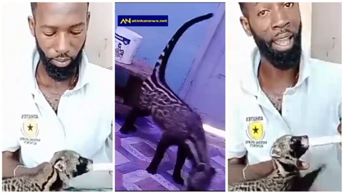 Ghanaian man trains wild animals to be his friends