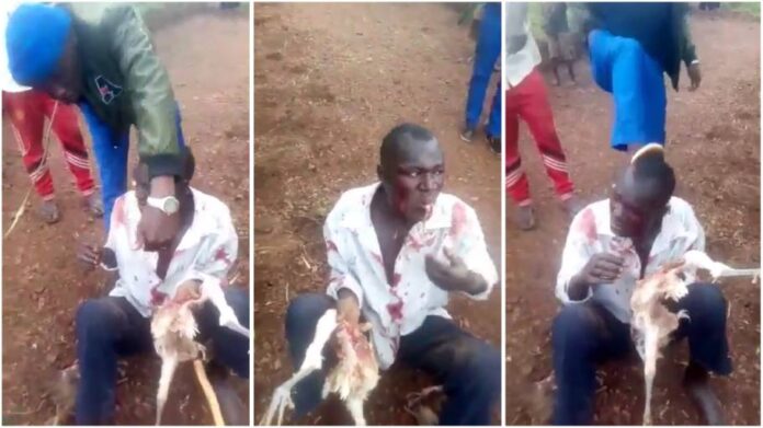 Man forced to eat live chicken after he was caught stealing