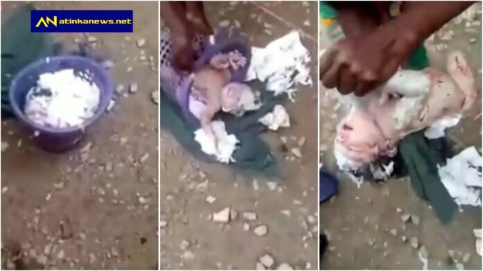 newborn baby found abandoned in a bin at toilet facility