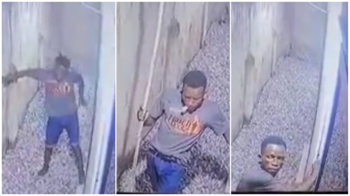 CCTV captures man with PhD in thievery stealing phone through victim’s window