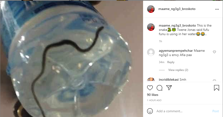 Photo of snake Twene Jonas alleged to be in Afia Schwar’s bottled water 