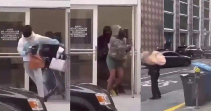 thieves caught on camera escaping with expensive handbags from store [Video]