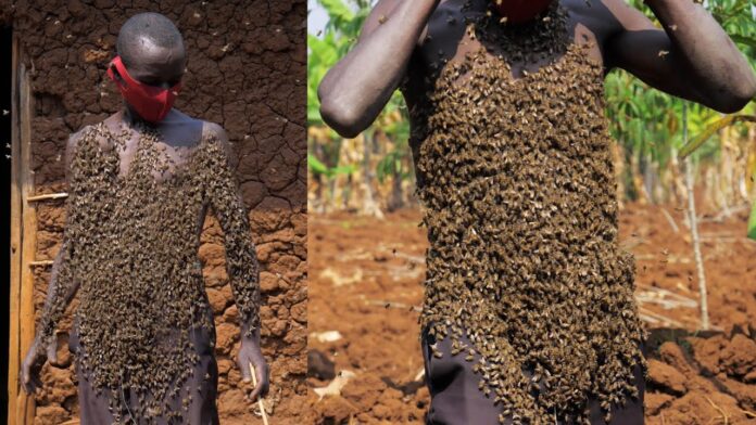 Meet man who walks with thousands of bees on his body for over 30 years