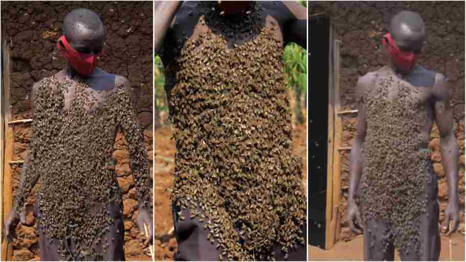 A Man Covered With Thousands Of Bees On His Body 