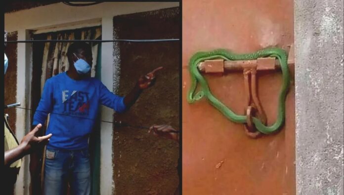 tenants, Landlord locks gate with live snake