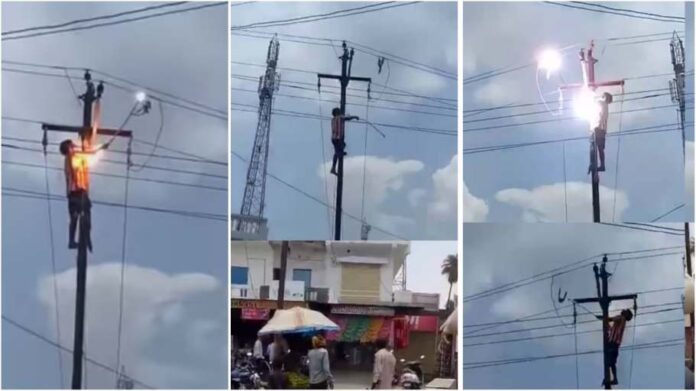 Man who was attempting to save bird trapped by high tension wire electrocuted