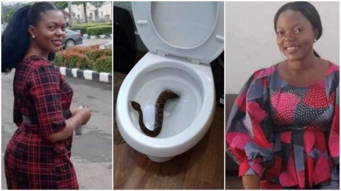 Woman dies after venomous snake bit her as she sat on toilet at home