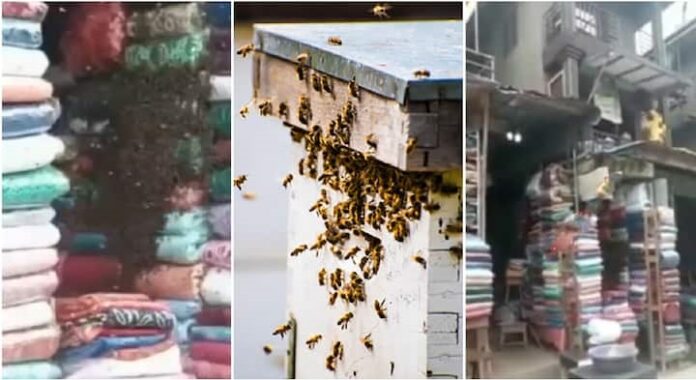 swarm of bees storm a vendor’s shop