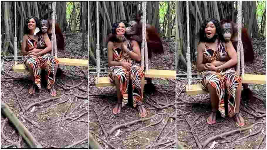 orangutan grabs woman 