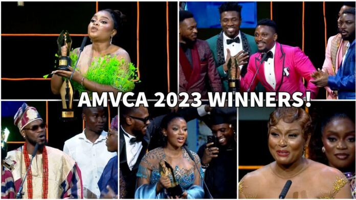 AMVCA Winners