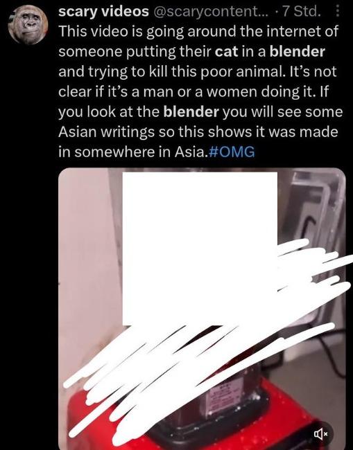 Cat in blender video